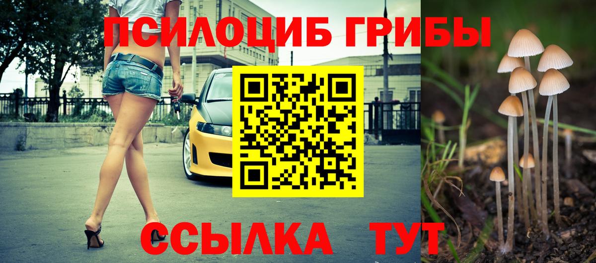 Псилоцибиновые грибы мухоморы Кандалакша