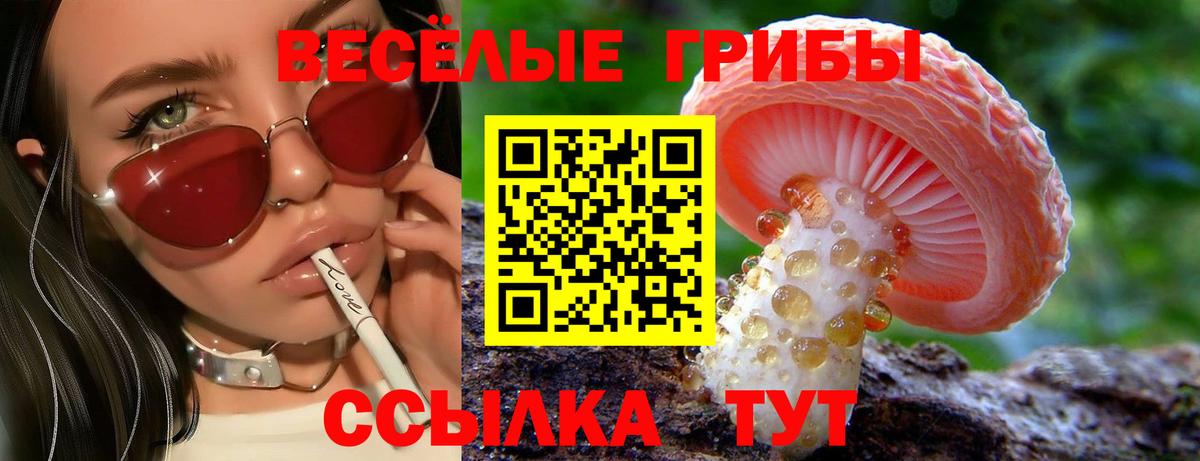 Кандалакша  Псилоцибиновые грибы GOLDEN TEACHER  Галлюциногенные грибы GOLDEN TEACHER  Вход с VPN 
